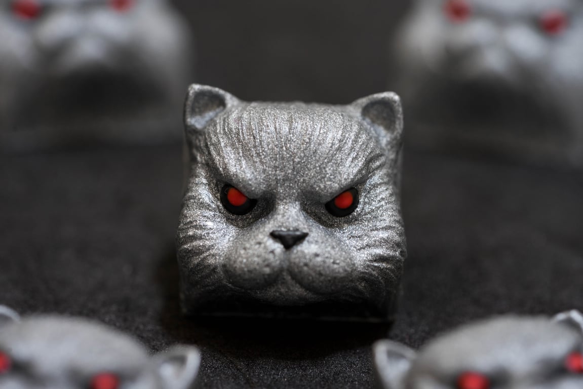 Arnold Catzenegger