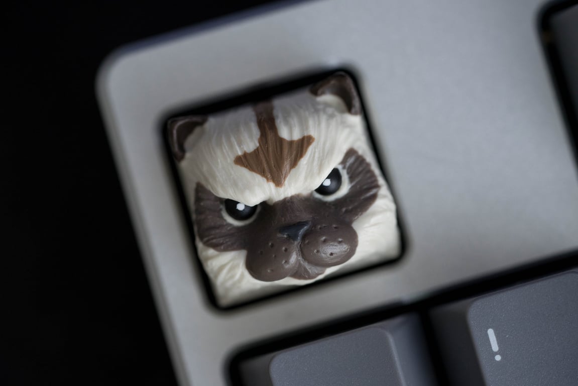 Appa