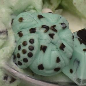 Sweet Tooth - Mint Chocolate Chip