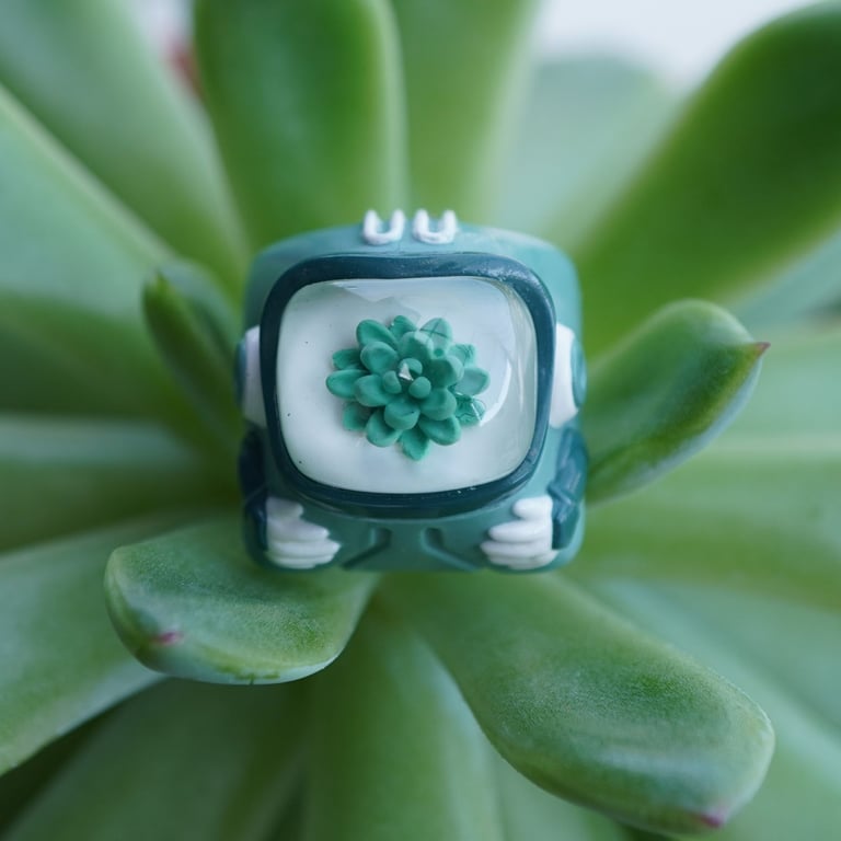 Succulent