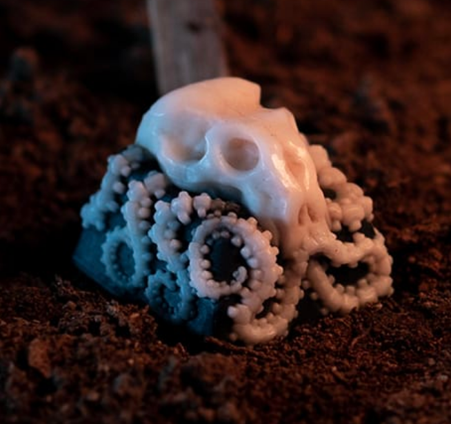 Remains