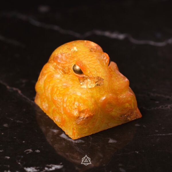 HexaKolk