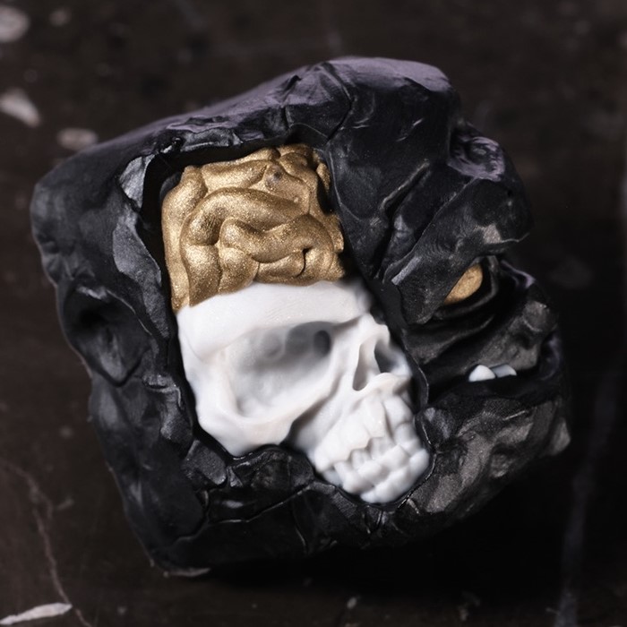 Cortex