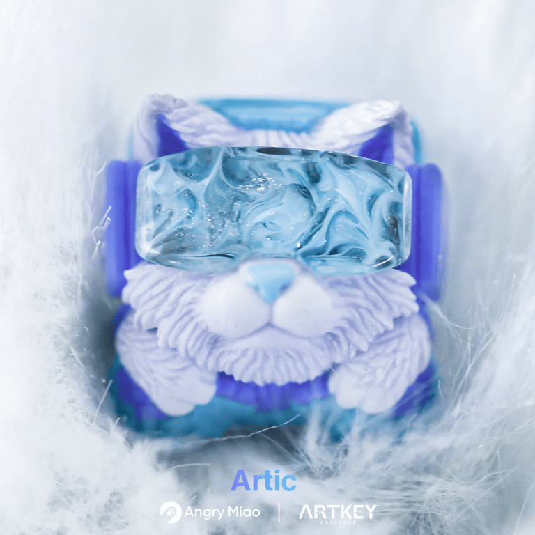 Artic
