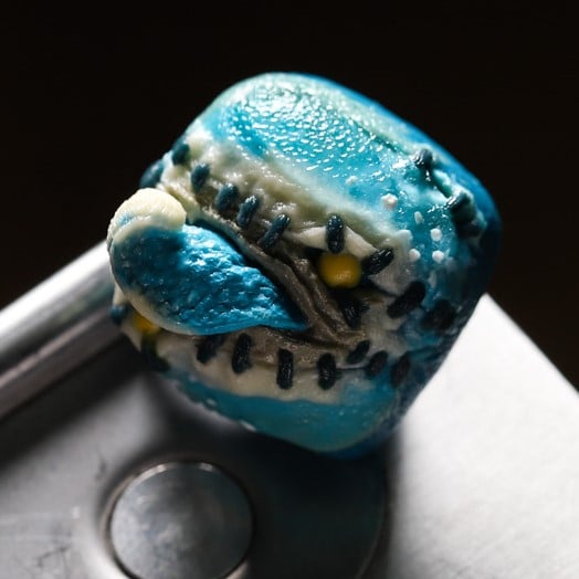 Turquoise