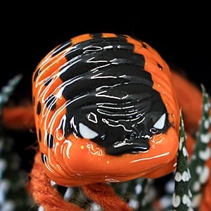 Carbon
