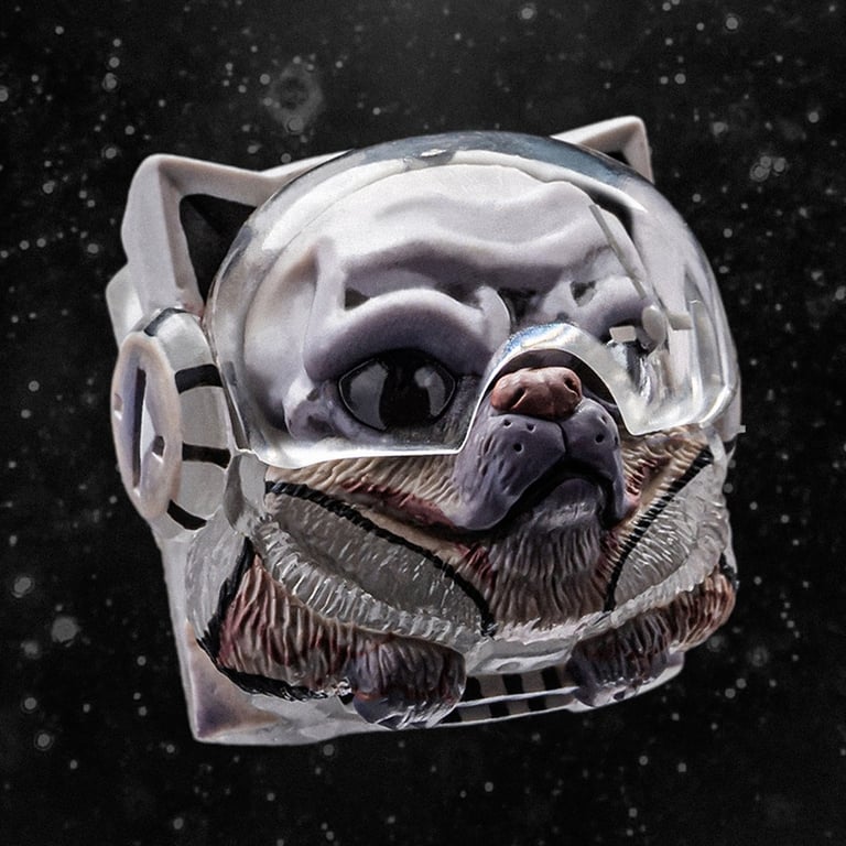 First Contact