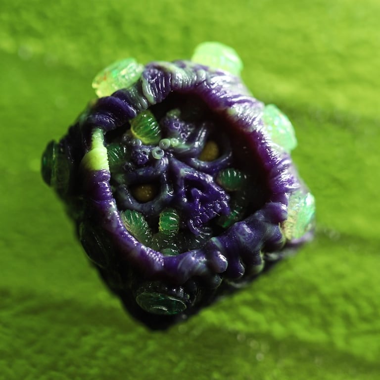 Notori