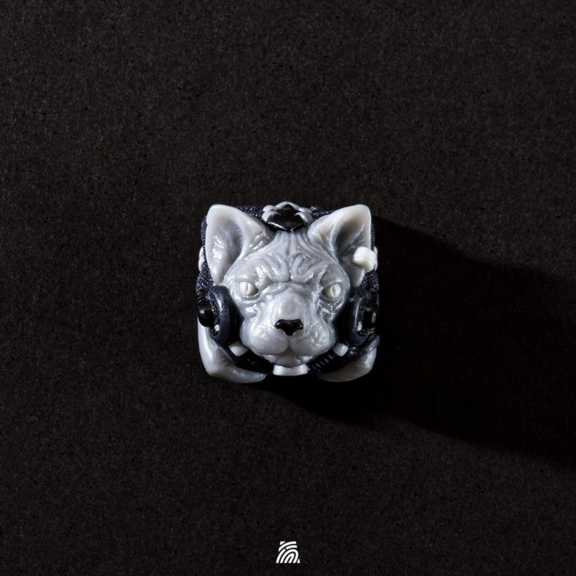 Ashes