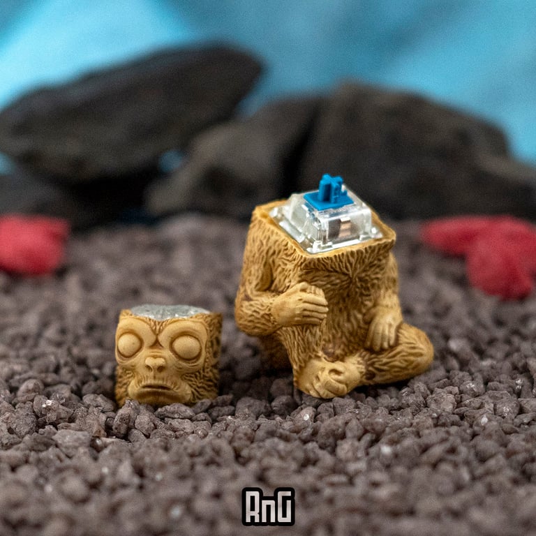 Bone v2