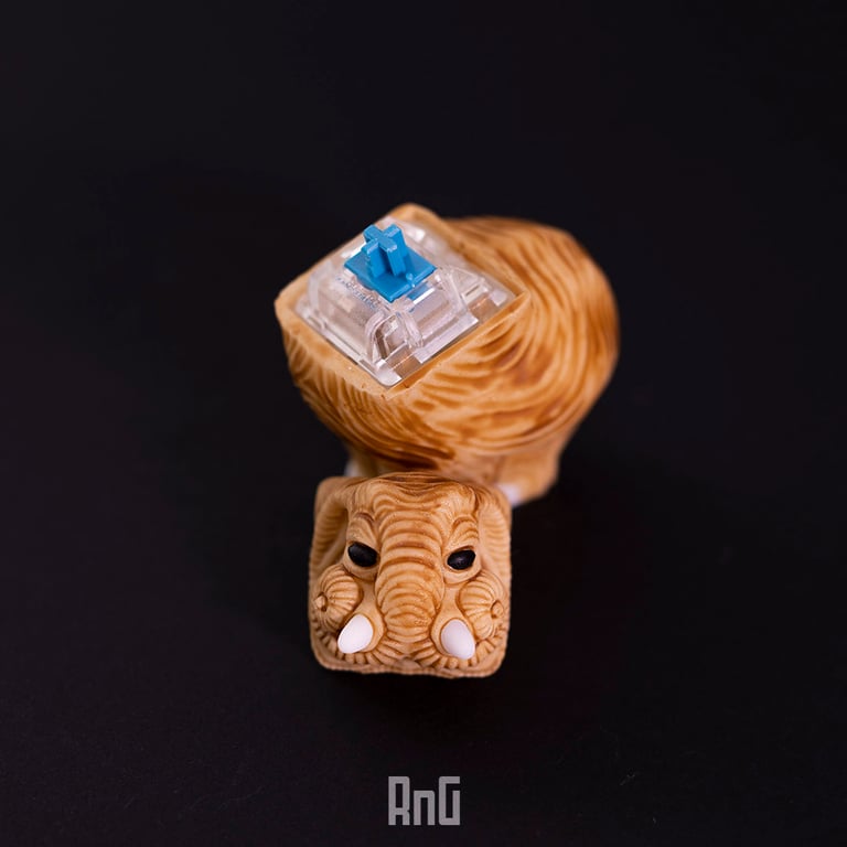 Bone v2