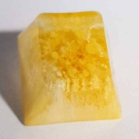 Blank Yellow Petri