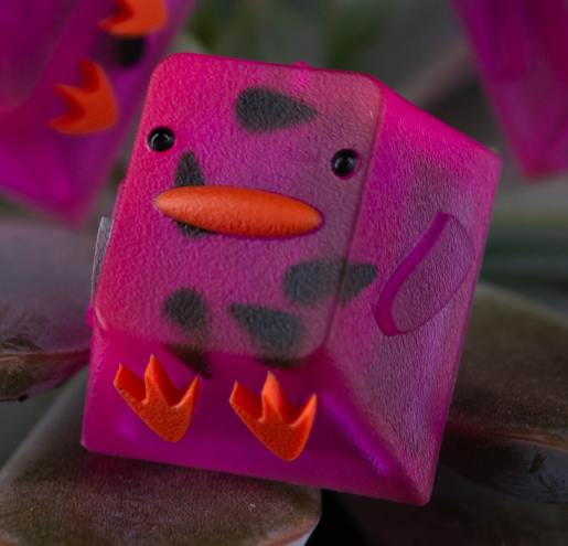 Dragon Fruit