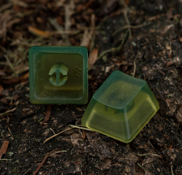 Swamp Decay
