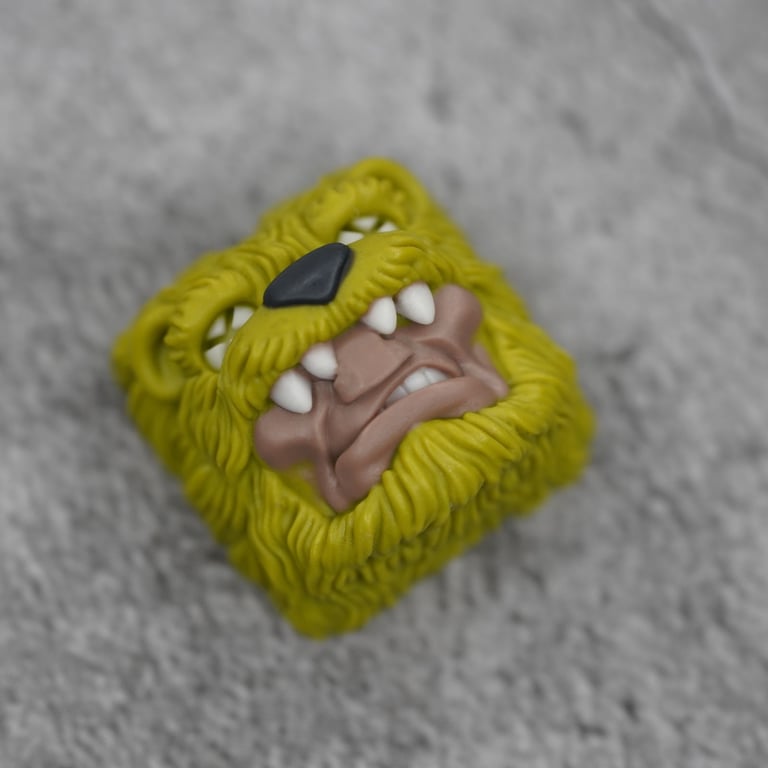 S004