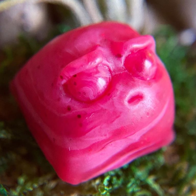 Raspberry Herpes
