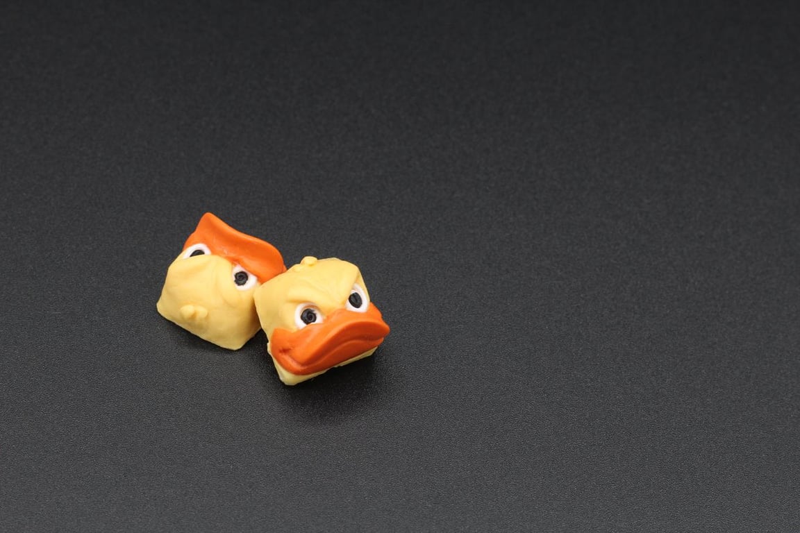 Rubber Ducky