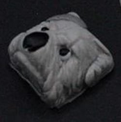 Qoala