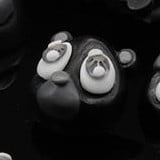 Monochrome