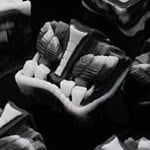 Monochrome