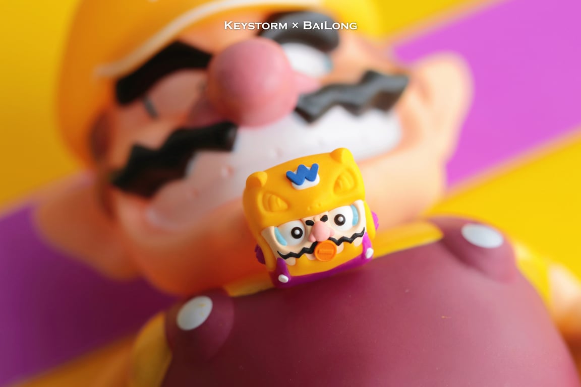 16 Wario