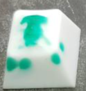 Proto Green