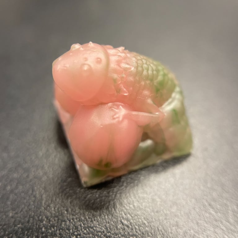 Watermelon Rind