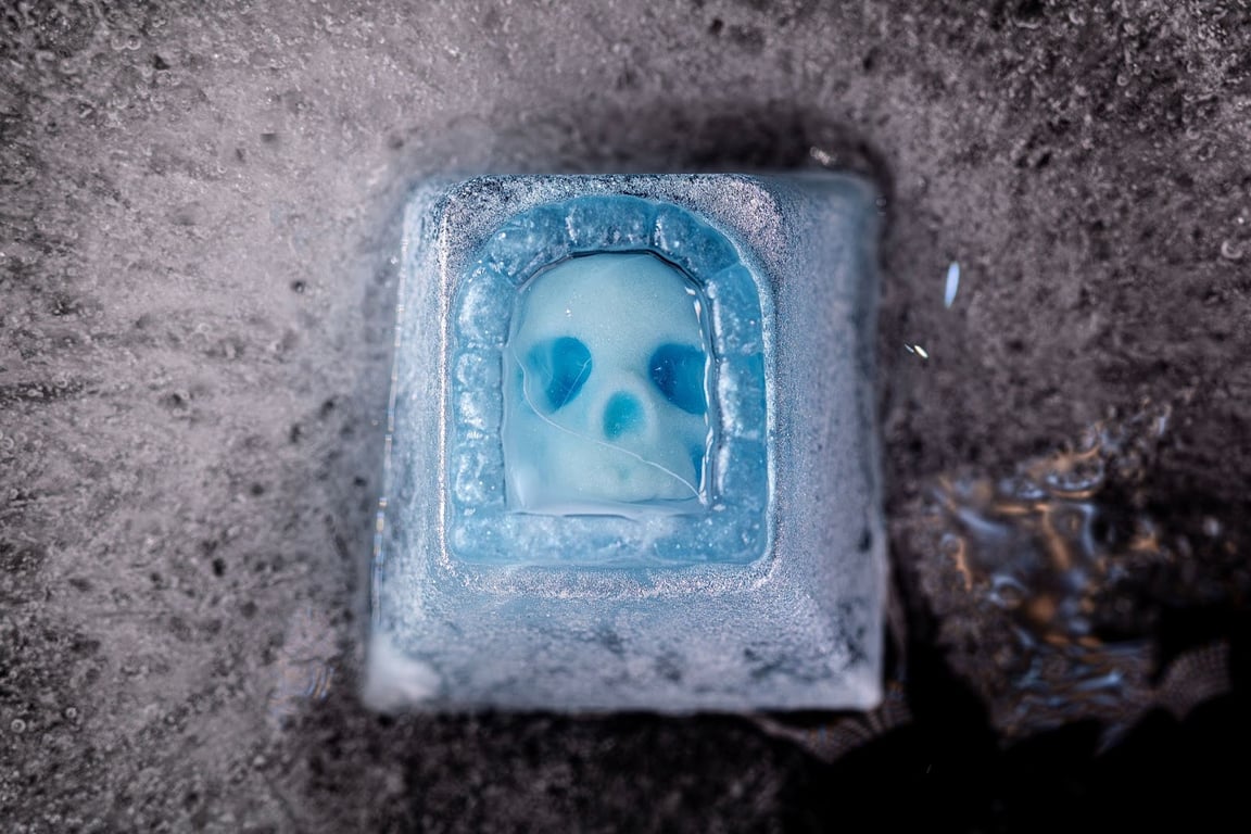 Frozen Adventurer