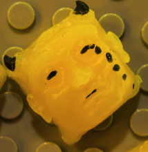 Bad Yolk