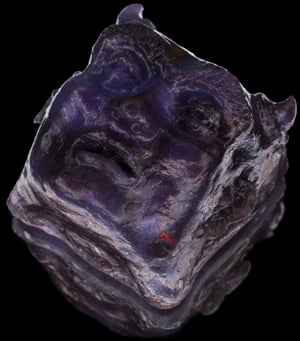 Purp Nasty