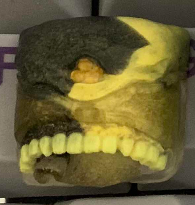 Cursed Gold