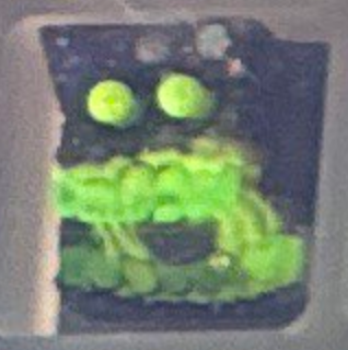 Sci Fry