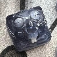 Koala-Gare