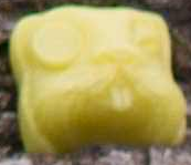 Buttercup