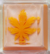 Orangesicle
