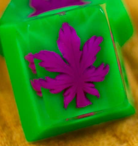 Indica