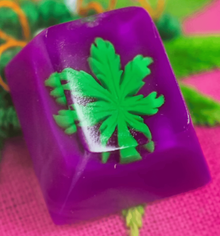 Sativa