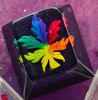 Midnight Dankbow