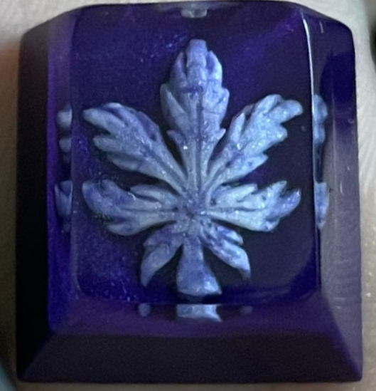Blueberry Dreams