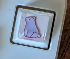 Jacky Bear(Purple)