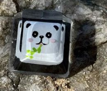 Panda Little Sealbie