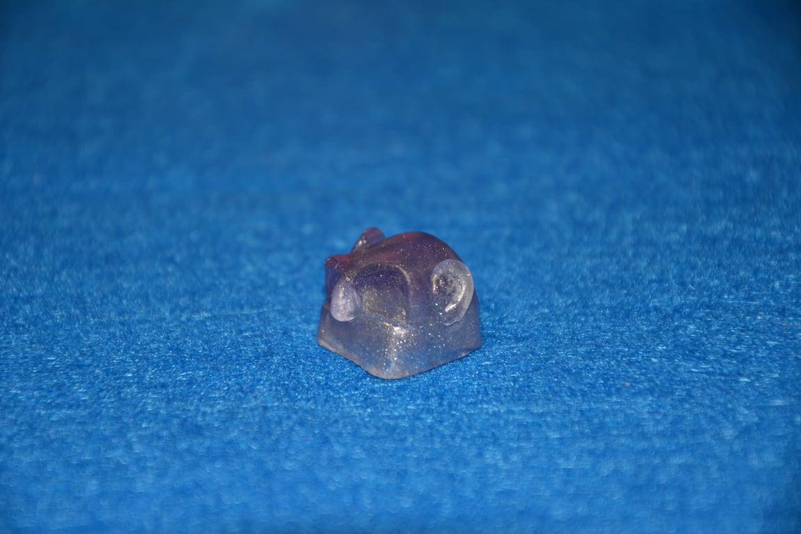 1/1
