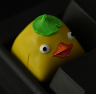 Duckbro