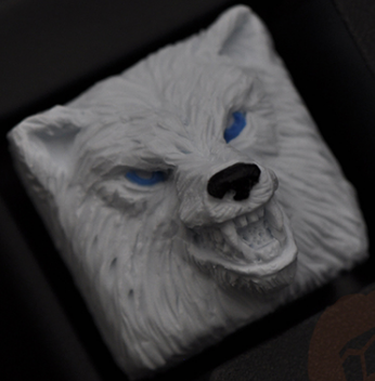 Arctic
