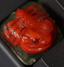 :fkudickhellerproto: