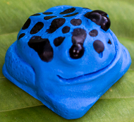 Blue Poison Dart