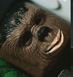 Chewy