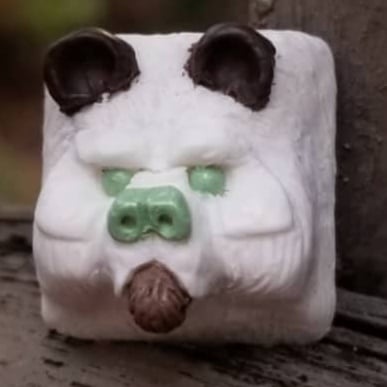 Ursa