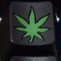 Depth Black with Green Thumb Green Flower - O'Natural