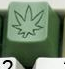 Green Thumb Green - Toast